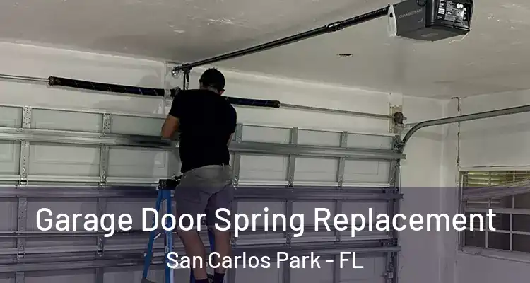  Garage Door Spring Replacement San Carlos Park - FL