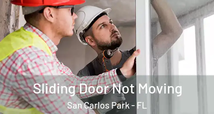  Sliding Door Not Moving San Carlos Park - FL