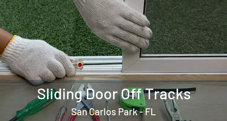  Sliding Door Off Tracks San Carlos Park - FL