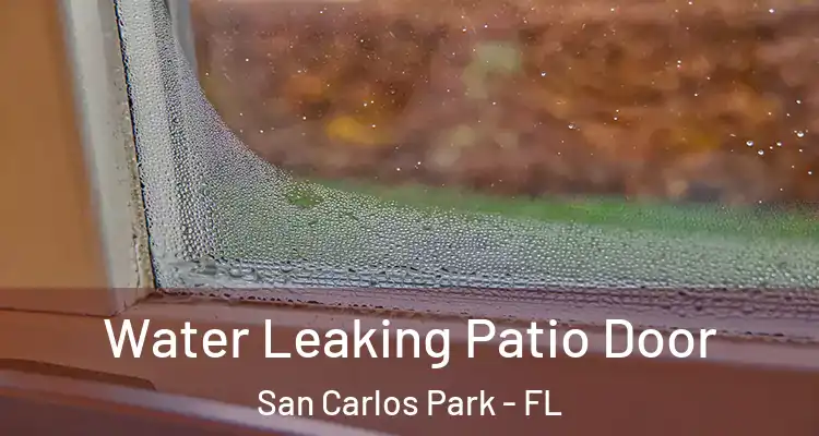  Water Leaking Patio Door San Carlos Park - FL