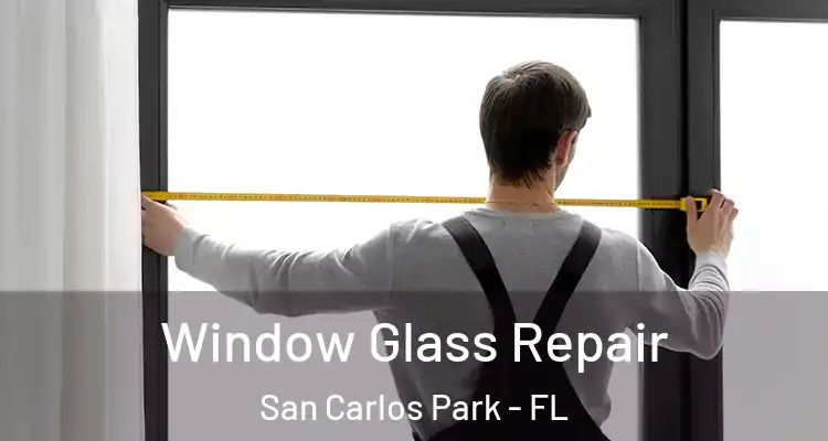  Window Glass Repair San Carlos Park - FL